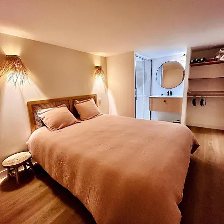 Villa Pacis Renovee - Face Hyper Centre -15 Pers - 5 Avec Sdb -terrasse & Bbq Sous Les Pins *