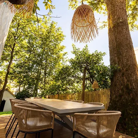 Pacis Renovee - Face -15 Pers - 5 Avec Sdb -terrasse & Bbq Sous Les Pins